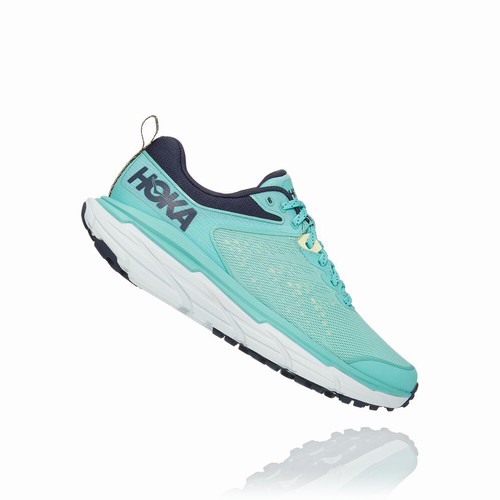 Hoka One One CHALLENGER ATR 6 Trail Running Shoes For Women India Green IN-9286